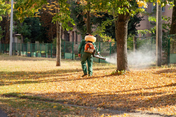 Bird Control in Piney Point Village, TX